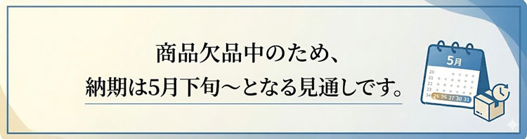 納期(ニュートンシャフト欠品)
