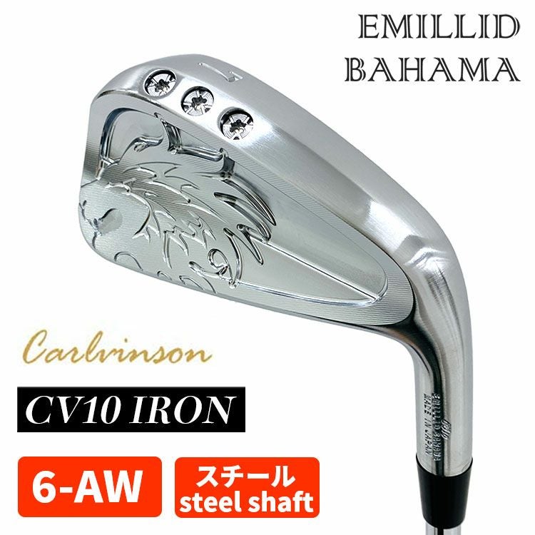 エミリッドバハマ CV10 アイアンセット 特注・ヘッド在庫有り】エミリッドバハマ EMILLID BAHAMACarlvinson