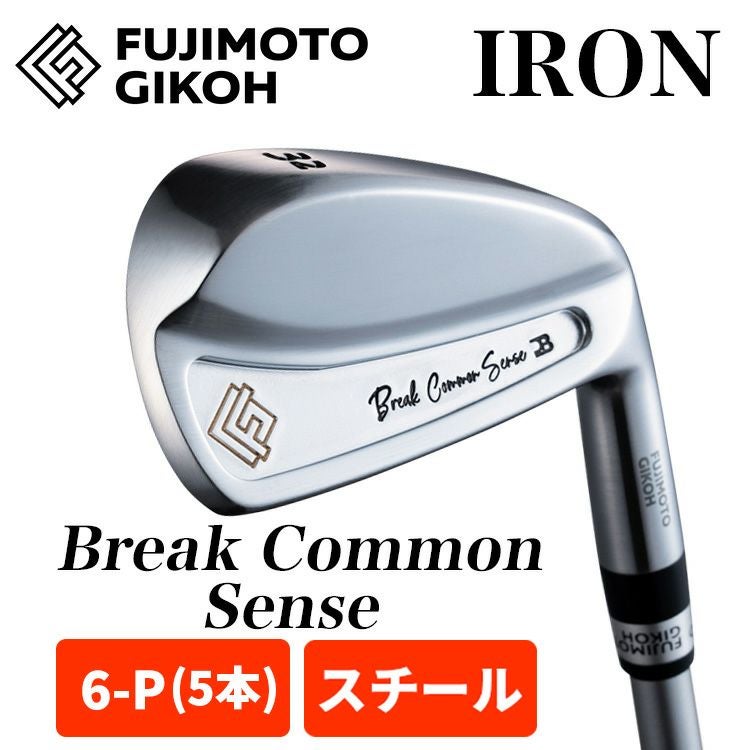 特注カスタム】藤本技工 アイアンセットBreak Common Sense Iron#28