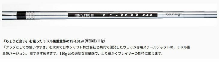 フォーティーン(FOURTEEN)RM-α(クロム)ウェッジN.S.PROTS-101wスチールシャフト