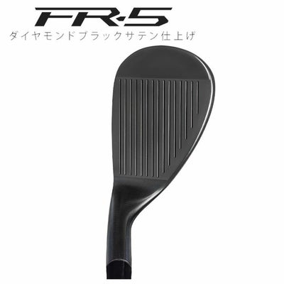 フォーティーン(FOURTEEN)RM-α(クロム)ウェッジN.S.PROTS-101wスチールシャフト