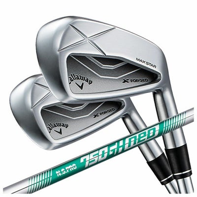 【11月11日発売予定・予約受付中】PINGG430アイアンダイナミックゴールドシャフト#6-PW・45°(6本組)日本正規品