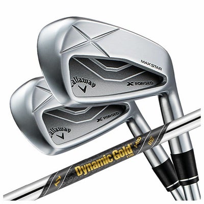 【11月11日発売予定・予約受付中】PINGG430アイアンダイナミックゴールドシャフト#6-PW・45°(6本組)日本正規品