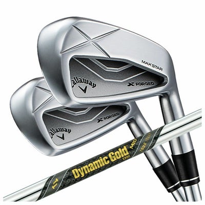 【11月11日発売予定・予約受付中】PINGG430アイアンダイナミックゴールドシャフト#6-PW・45°(6本組)日本正規品