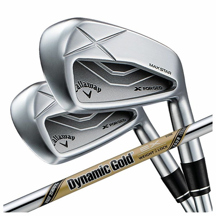 【11月11日発売予定・予約受付中】PINGG430アイアンダイナミックゴールドシャフト#6-PW・45°(6本組)日本正規品