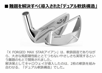 【11月11日発売予定・予約受付中】PINGG430アイアンダイナミックゴールドシャフト#6-PW・45°(6本組)日本正規品