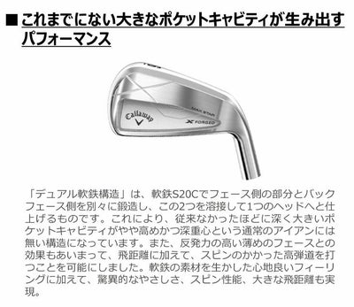 【11月11日発売予定・予約受付中】PINGG430アイアンダイナミックゴールドシャフト#6-PW・45°(6本組)日本正規品