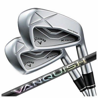 【11月11日発売予定・予約受付中】PINGG430アイアンダイナミックゴールドシャフト#6-PW・45°(6本組)日本正規品