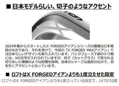 【11月11日発売予定・予約受付中】PINGG430アイアンダイナミックゴールドシャフト#6-PW・45°(6本組)日本正規品