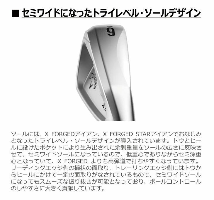 【11月11日発売予定・予約受付中】PINGG430アイアンダイナミックゴールドシャフト#6-PW・45°(6本組)日本正規品