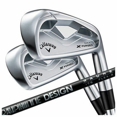 【11月11日発売予定・予約受付中】PINGG430アイアンダイナミックゴールドシャフト#6-PW・45°(6本組)日本正規品