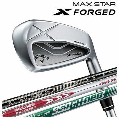 【11月11日発売予定・予約受付中】PINGG430アイアンダイナミックゴールドシャフト#6-PW・45°(6本組)日本正規品