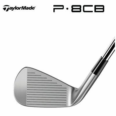 テーラーメイドP790アイアンダイナミックゴールド1056本組み（#5～Pw）TaylorMadeDG105日本正規品