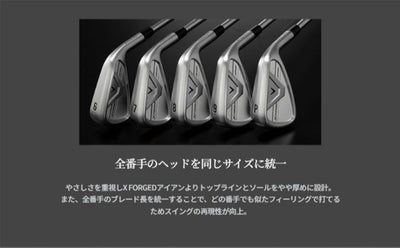 【11月11日発売予定・予約受付中】PINGG430アイアンダイナミックゴールドシャフト#6-PW・45°(6本組)日本正規品