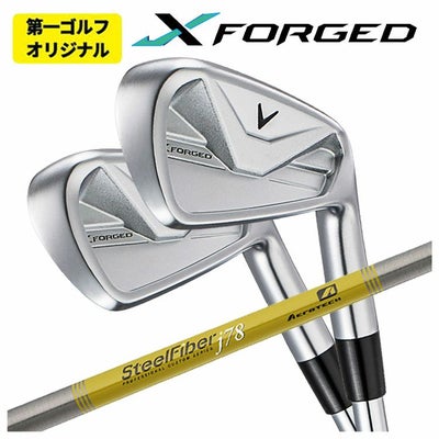 【11月11日発売予定・予約受付中】PINGG430アイアンダイナミックゴールドシャフト#6-PW・45°(6本組)日本正規品