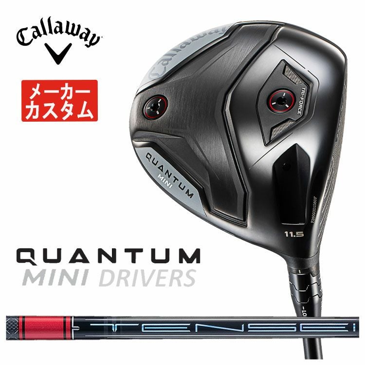 キャロウェイ(Callaway)GBBEPICSTARドライバーSpeederEVOLUTIONforGBBカーボンシャフト日本正規品【高反発加工対応】