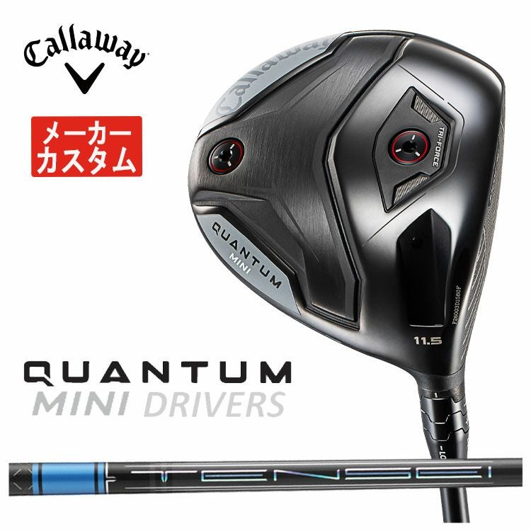キャロウェイ(Callaway)GBBEPICSTARドライバーSpeederEVOLUTIONforGBBカーボンシャフト日本正規品【高反発加工対応】