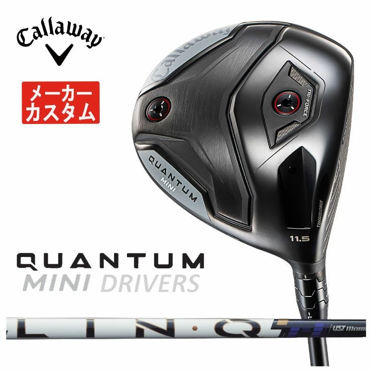 キャロウェイ(Callaway)GBBEPICSTARドライバーSpeederEVOLUTIONforGBBカーボンシャフト日本正規品【高反発加工対応】