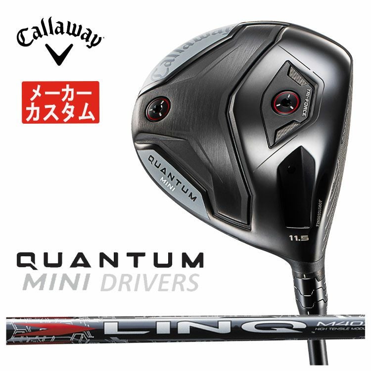 キャロウェイ(Callaway)GBBEPICSTARドライバーSpeederEVOLUTIONforGBBカーボンシャフト日本正規品【高反発加工対応】