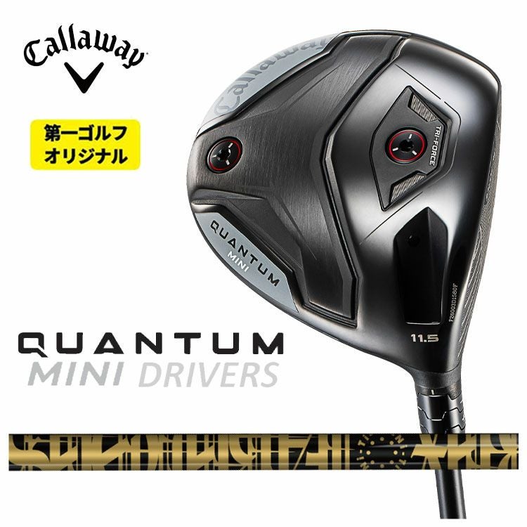 キャロウェイ(Callaway)GBBEPICSTARドライバーSpeederEVOLUTIONforGBBカーボンシャフト日本正規品【高反発加工対応】