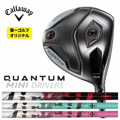 キャロウェイ(Callaway)GBBEPICSTARドライバーSpeederEVOLUTIONforGBBカーボンシャフト日本正規品【高反発加工対応】