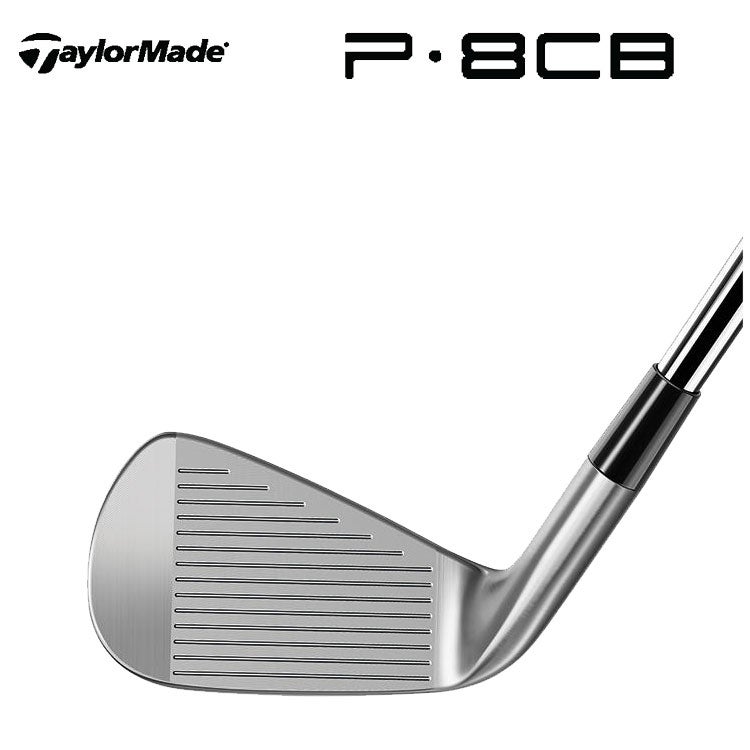 テーラーメイドP790アイアンダイナミックゴールド1056本組み（#5～Pw）TaylorMadeDG105日本正規品