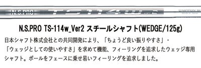 フォーティーン(FOURTEEN)RM-α(クロム)ウェッジN.S.PROTS-101wスチールシャフト