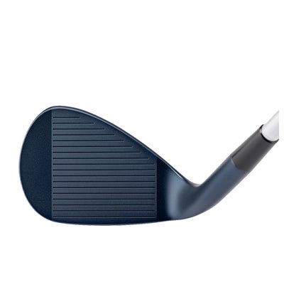 【特注カスタムクラブ】キャスコ(Kasco)ドルフィンウェッジDW-123クロムN.S.PROモーダス3Tour105シャフト