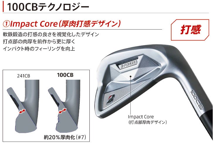 ブリヂストンゴルフ221CBアイアンN.S.Proモーダス3Tour105シャフト#5～Pw(6本組)