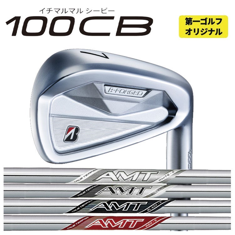 ブリヂストンゴルフ221CBアイアンN.S.Proモーダス3Tour105シャフト#5～Pw(6本組)