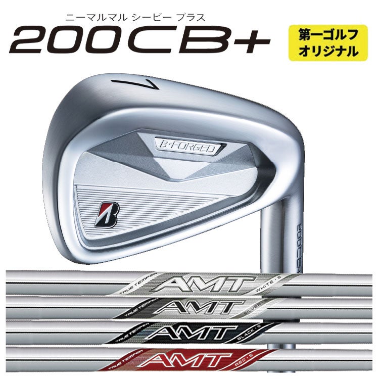 ブリヂストンゴルフ221CBアイアンN.S.Proモーダス3Tour105シャフト#5～Pw(6本組)