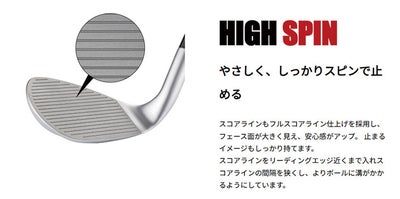 【特注カスタムクラブ】キャスコ(Kasco)ドルフィンウェッジDW-123クロムN.S.PROモーダス3Tour105シャフト