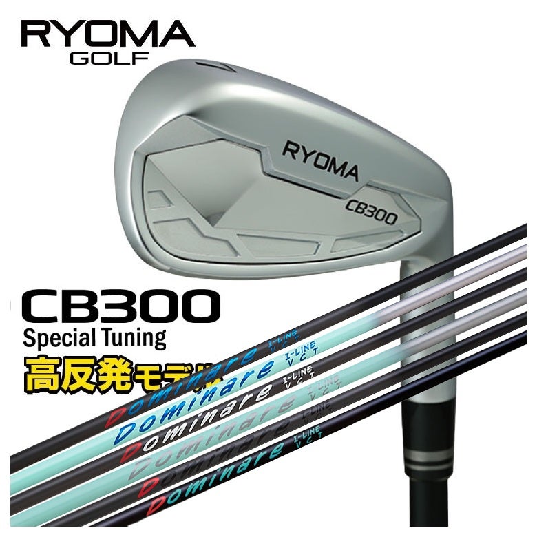 特注カスタムクラブ】RYOMA リョーマCB300 アイアン Special Tuning