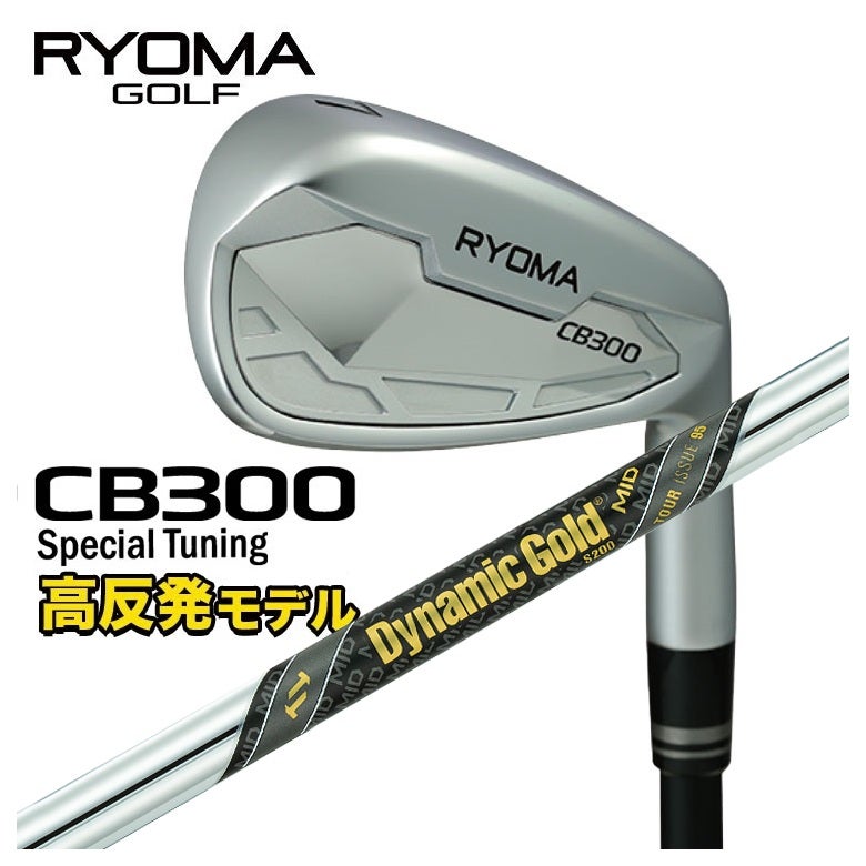 特注カスタムクラブ】RYOMA リョーマCB300 アイアン Special Tuning